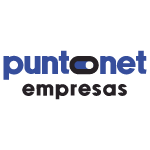 Puntonet